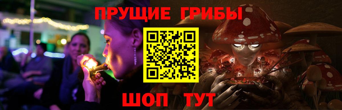 Галлюциногенные грибы Psilocybine cubensis  Вход с VPN  Гай 